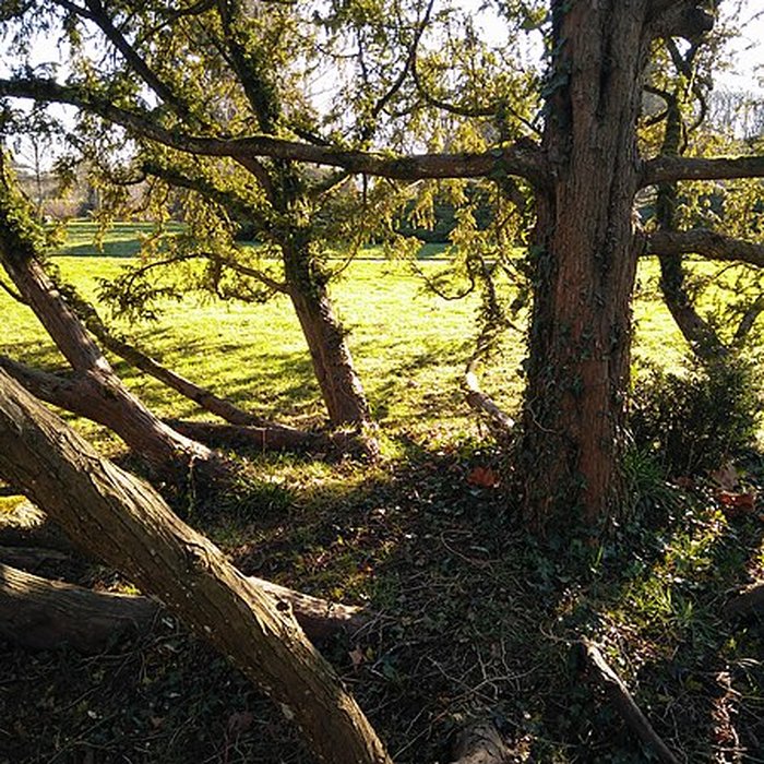 Photo de Maison de Chateaubriand à Châtenay-Malabry