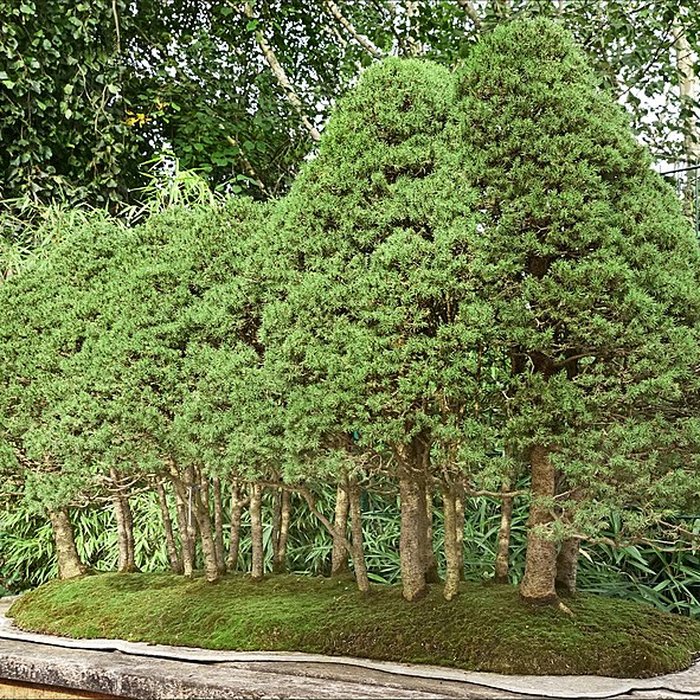 Photo de Maison de Chateaubriand à Châtenay-Malabry