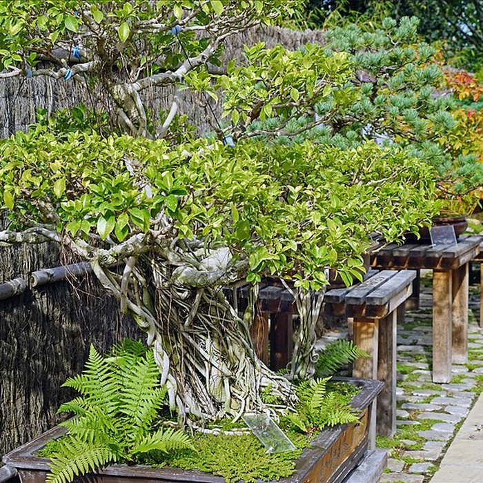 Photo de Maison de Chateaubriand à Châtenay-Malabry