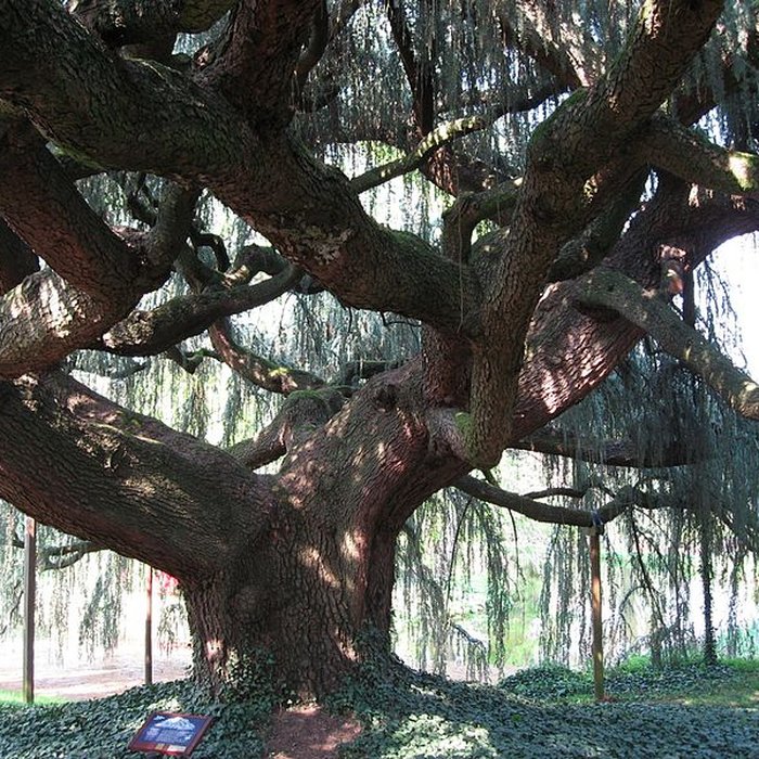 Photo de Maison de Chateaubriand à Châtenay-Malabry