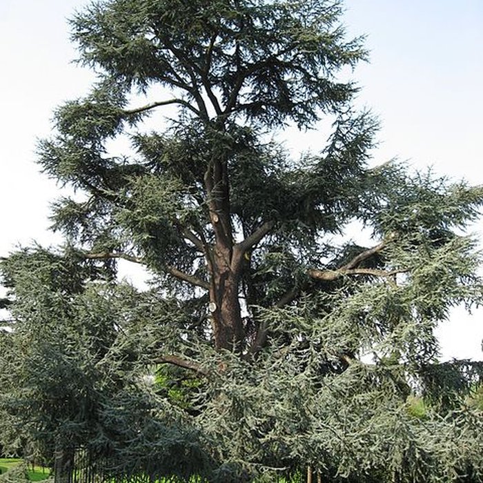Photo de Maison de Chateaubriand à Châtenay-Malabry