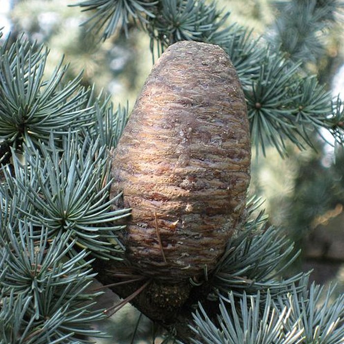 Photo de Maison de Chateaubriand à Châtenay-Malabry