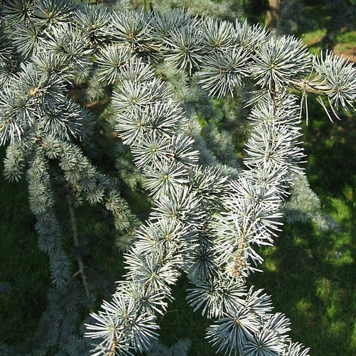 Photo de Maison de Chateaubriand à Châtenay-Malabry