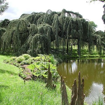 Maison de Chateaubriand à Châtenay-Malabry