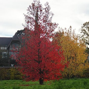 Maison de Chateaubriand à Châtenay-Malabry