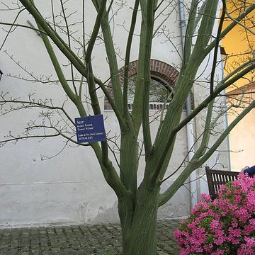 Maison de Chateaubriand à Châtenay-Malabry