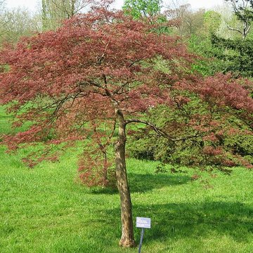 Maison de Chateaubriand à Châtenay-Malabry