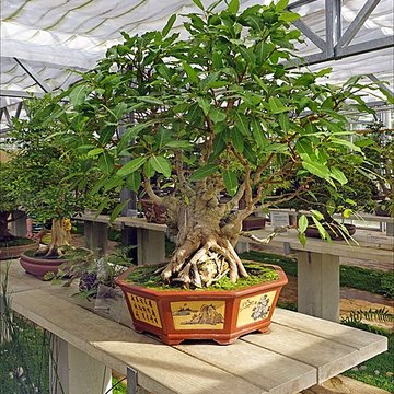 Maison de Chateaubriand à Châtenay-Malabry