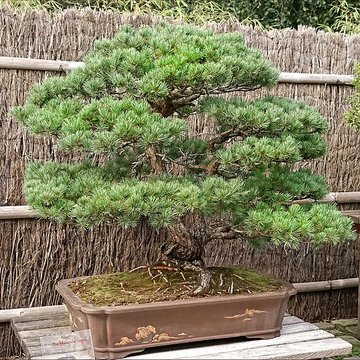 Maison de Chateaubriand à Châtenay-Malabry
