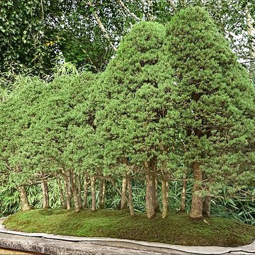 Maison de Chateaubriand à Châtenay-Malabry