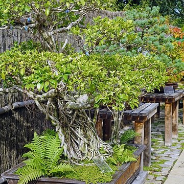 Maison de Chateaubriand à Châtenay-Malabry