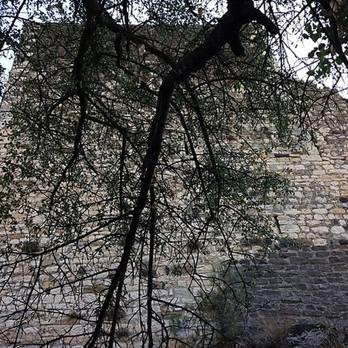 Photo de Château de Rochemaure