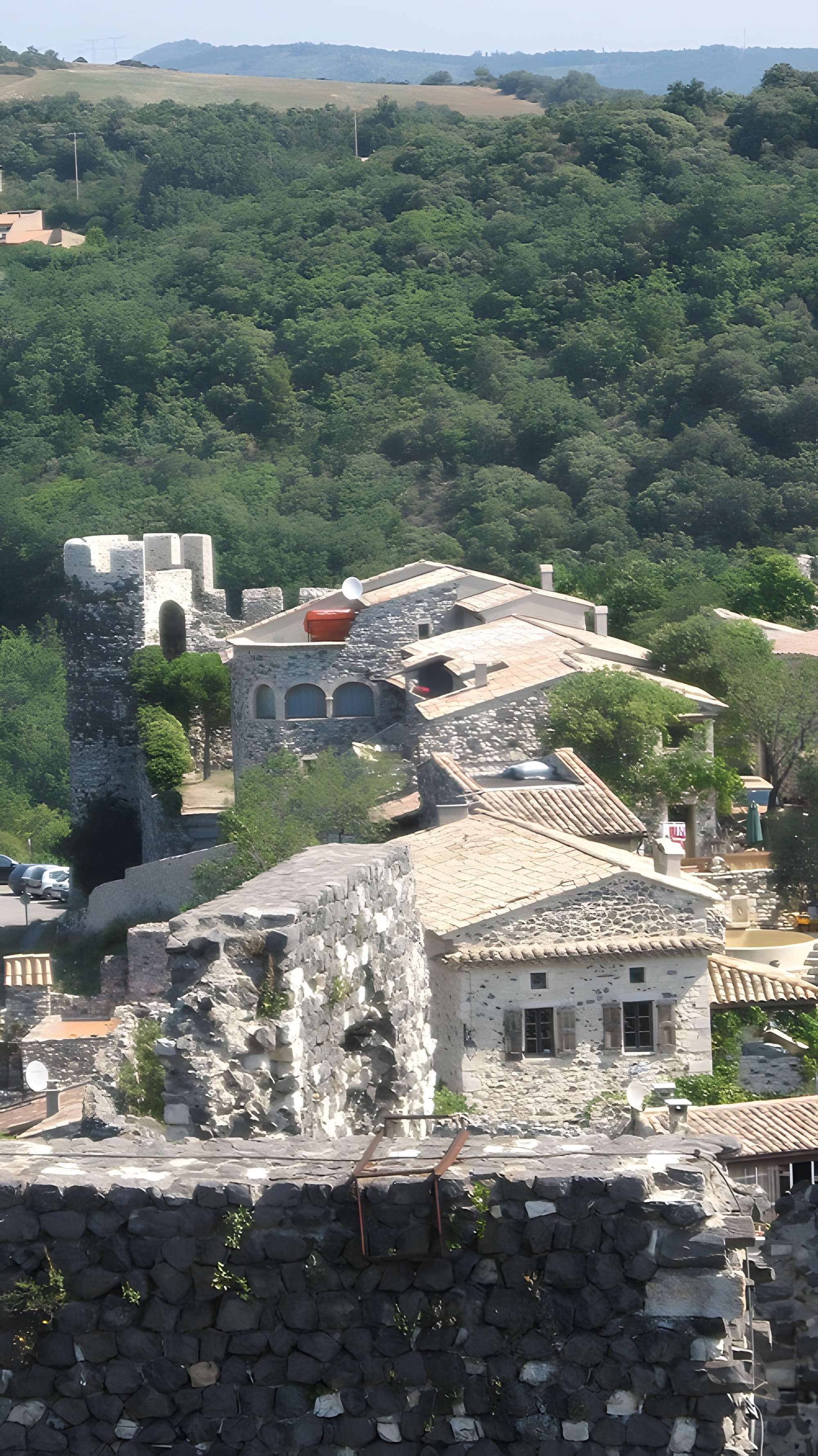 Château de Rochemaure