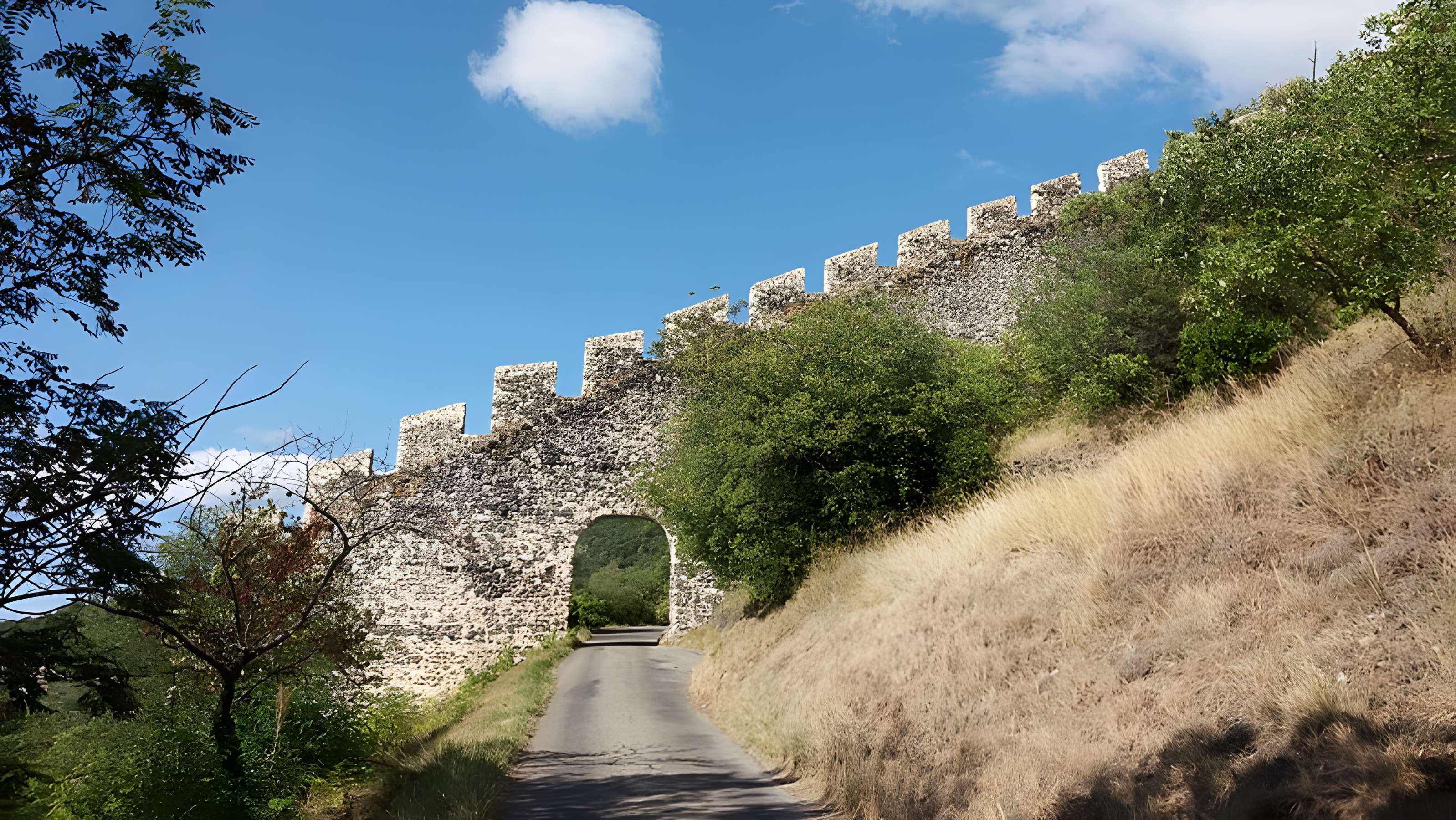 Château de Rochemaure