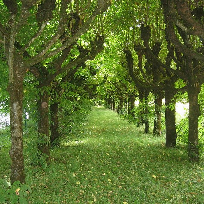 Photo de Château de Roche-sur-Loue