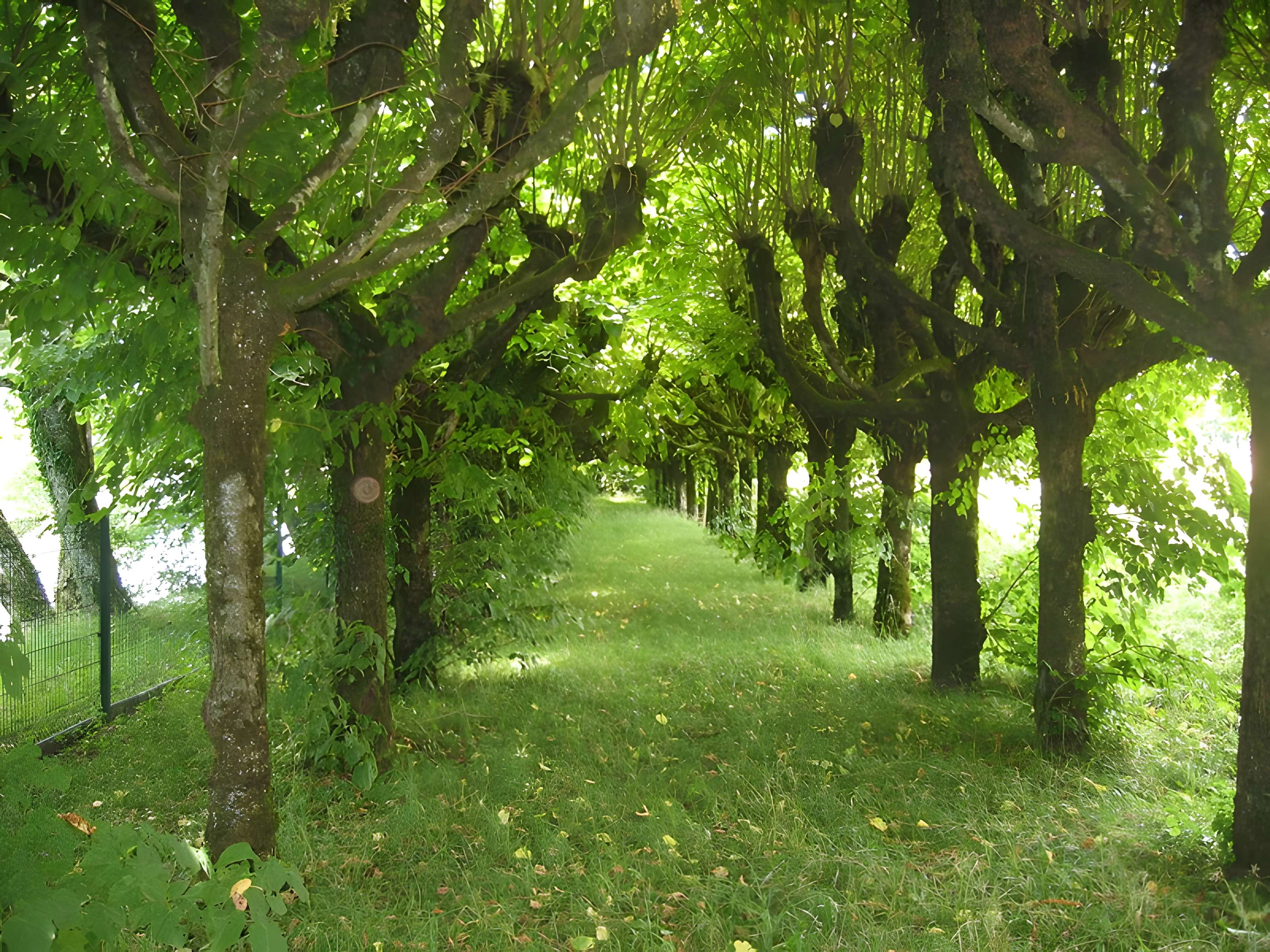 Château de Roche-sur-Loue