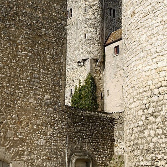 Photo de Château-musée municipal de Nemours