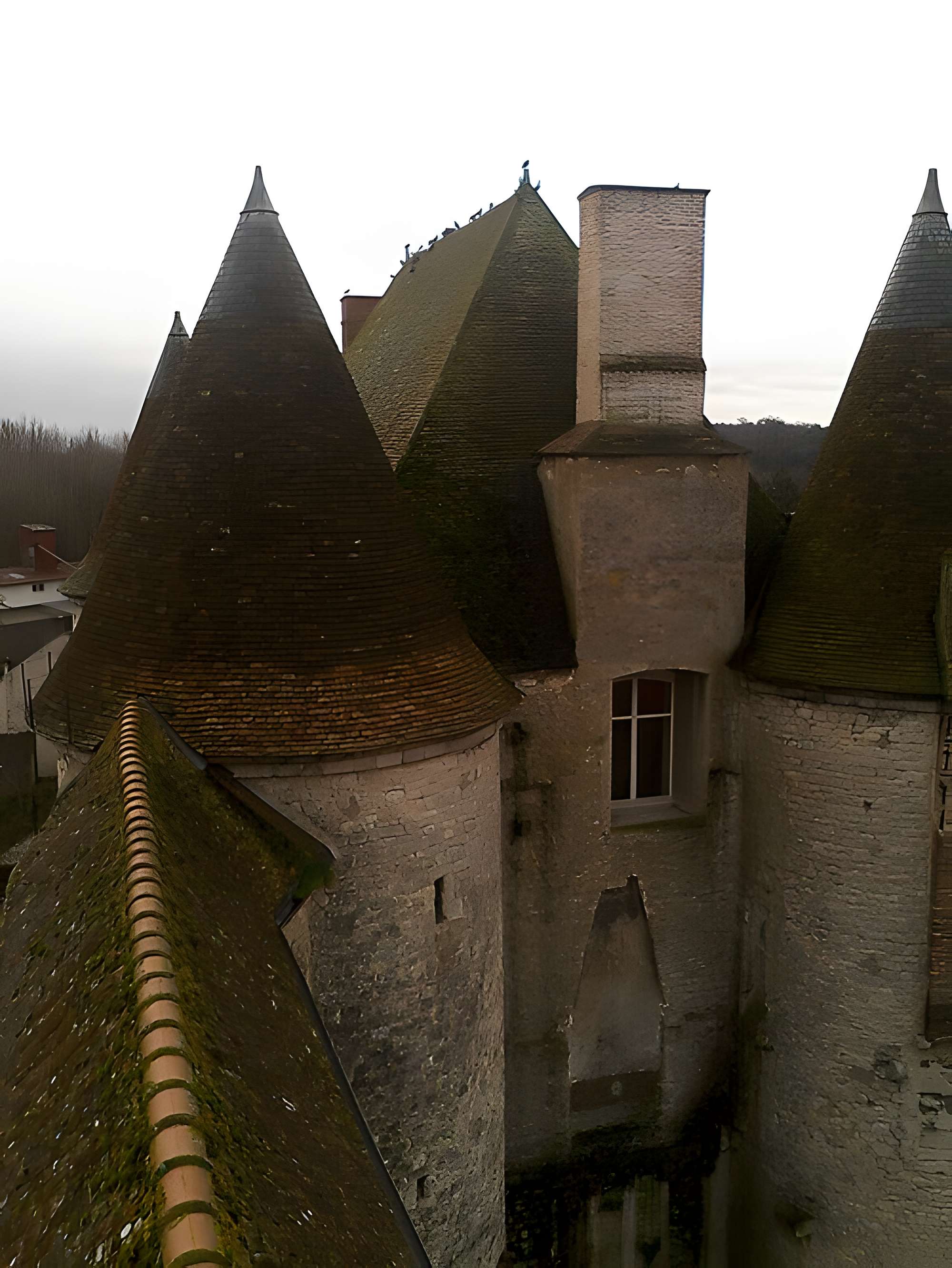 Château-musée municipal de Nemours