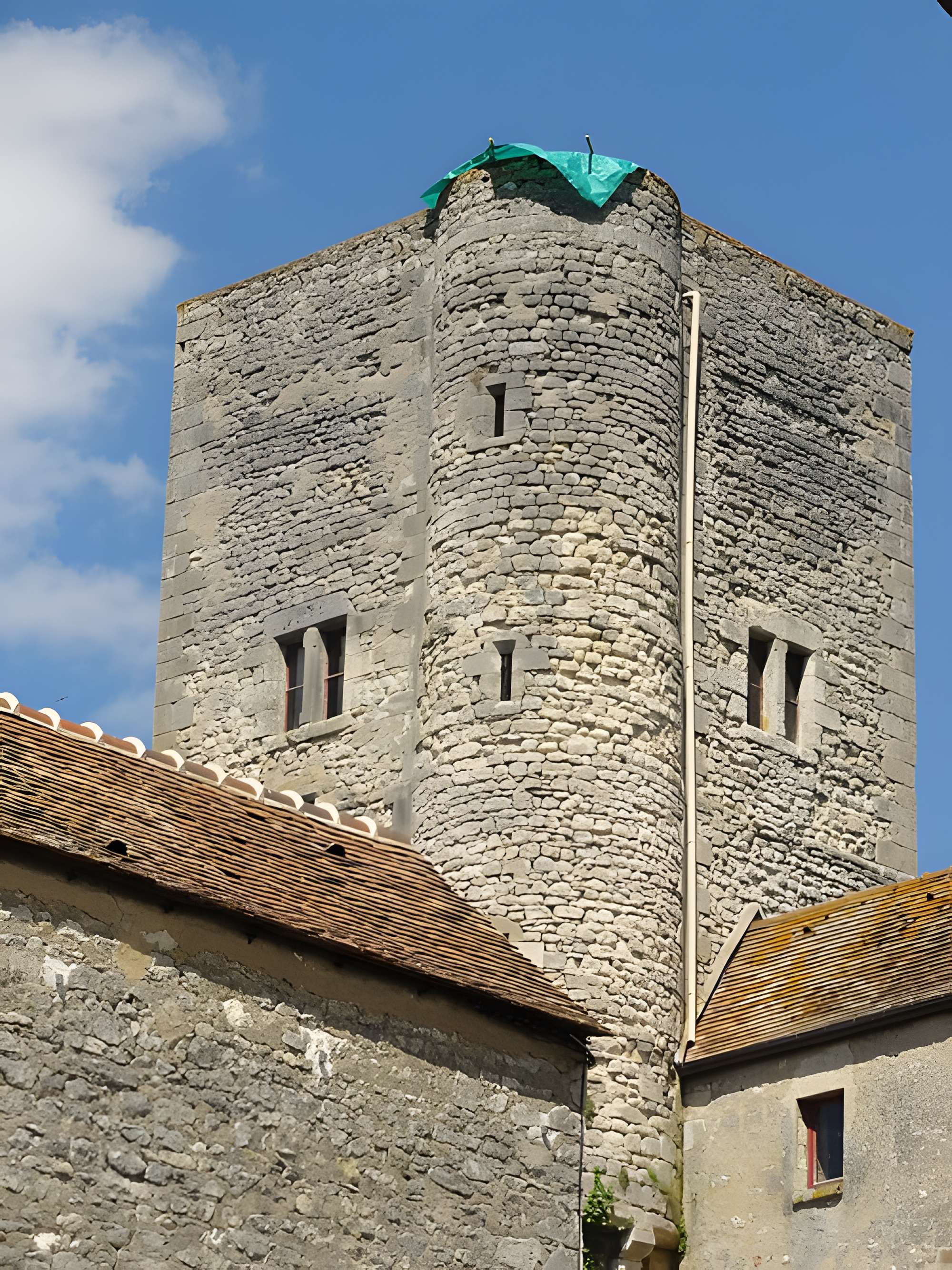 Château-musée municipal de Nemours