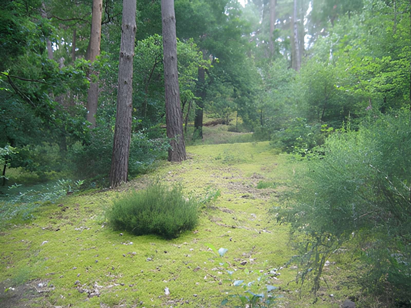 Musée départemental de Préhistoire d'Île-de-France à Nemours