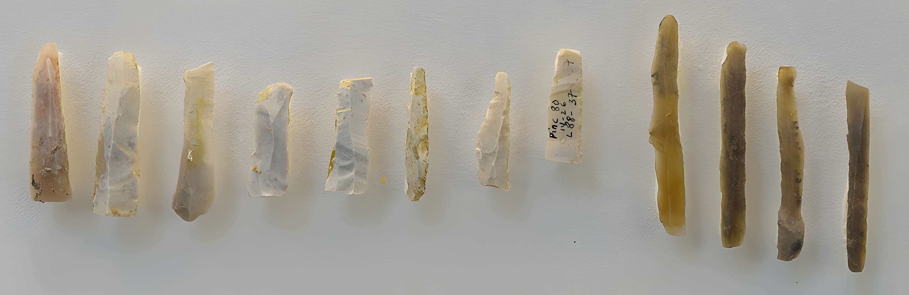 Musée départemental de Préhistoire d'Île-de-France à Nemours