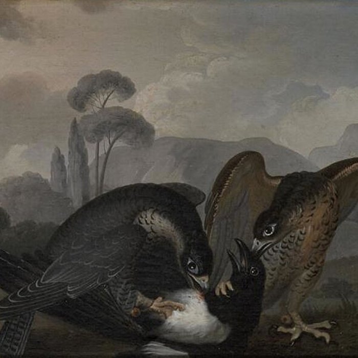 Photo de Musées du Château de Fontainebleau