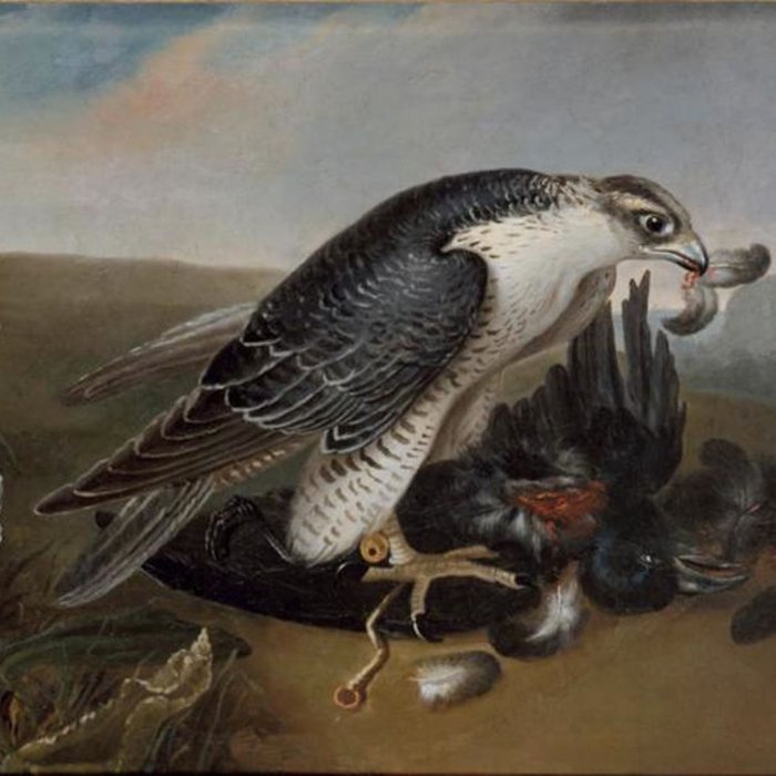 Photo de Musées du Château de Fontainebleau