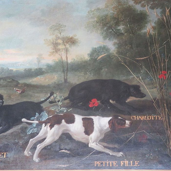 Photo de Musées du Château de Fontainebleau