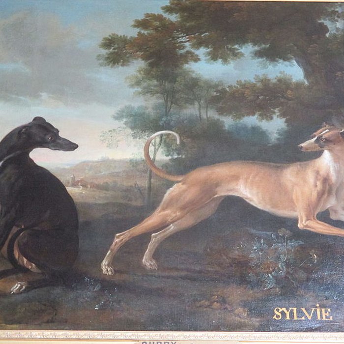 Photo de Musées du Château de Fontainebleau