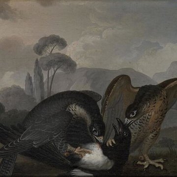 Musées du Château de Fontainebleau