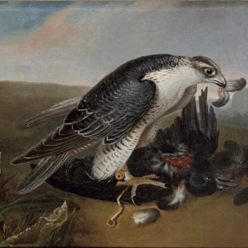 Musées du Château de Fontainebleau