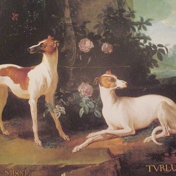 Musées du Château de Fontainebleau