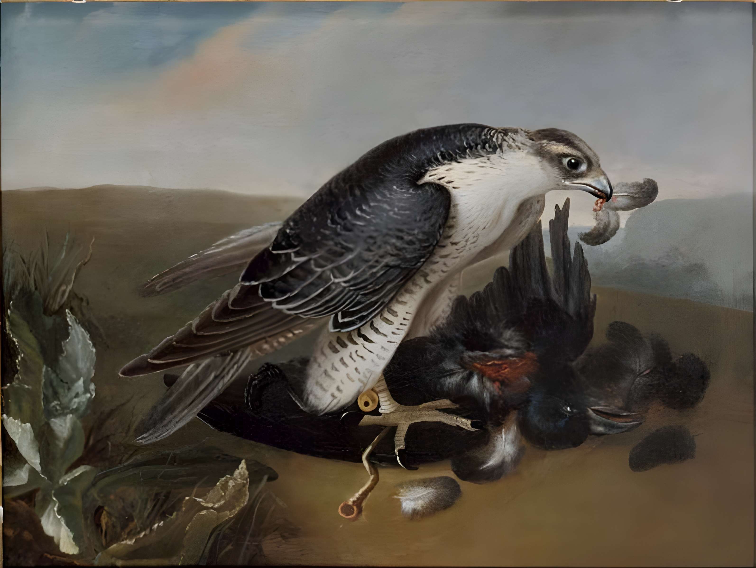 Musées du Château de Fontainebleau