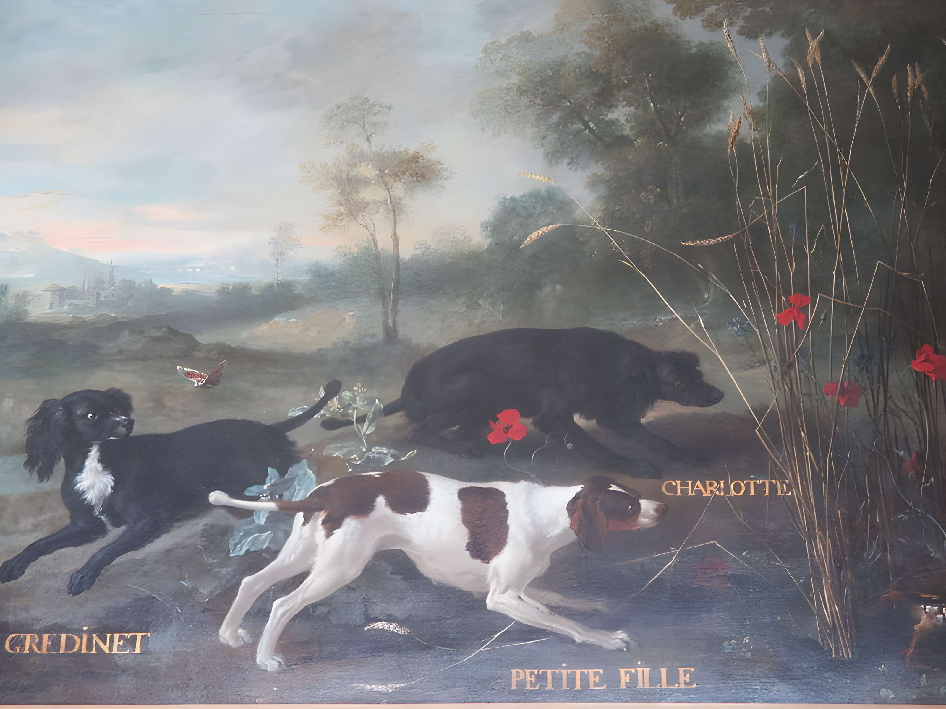 Musées du Château de Fontainebleau