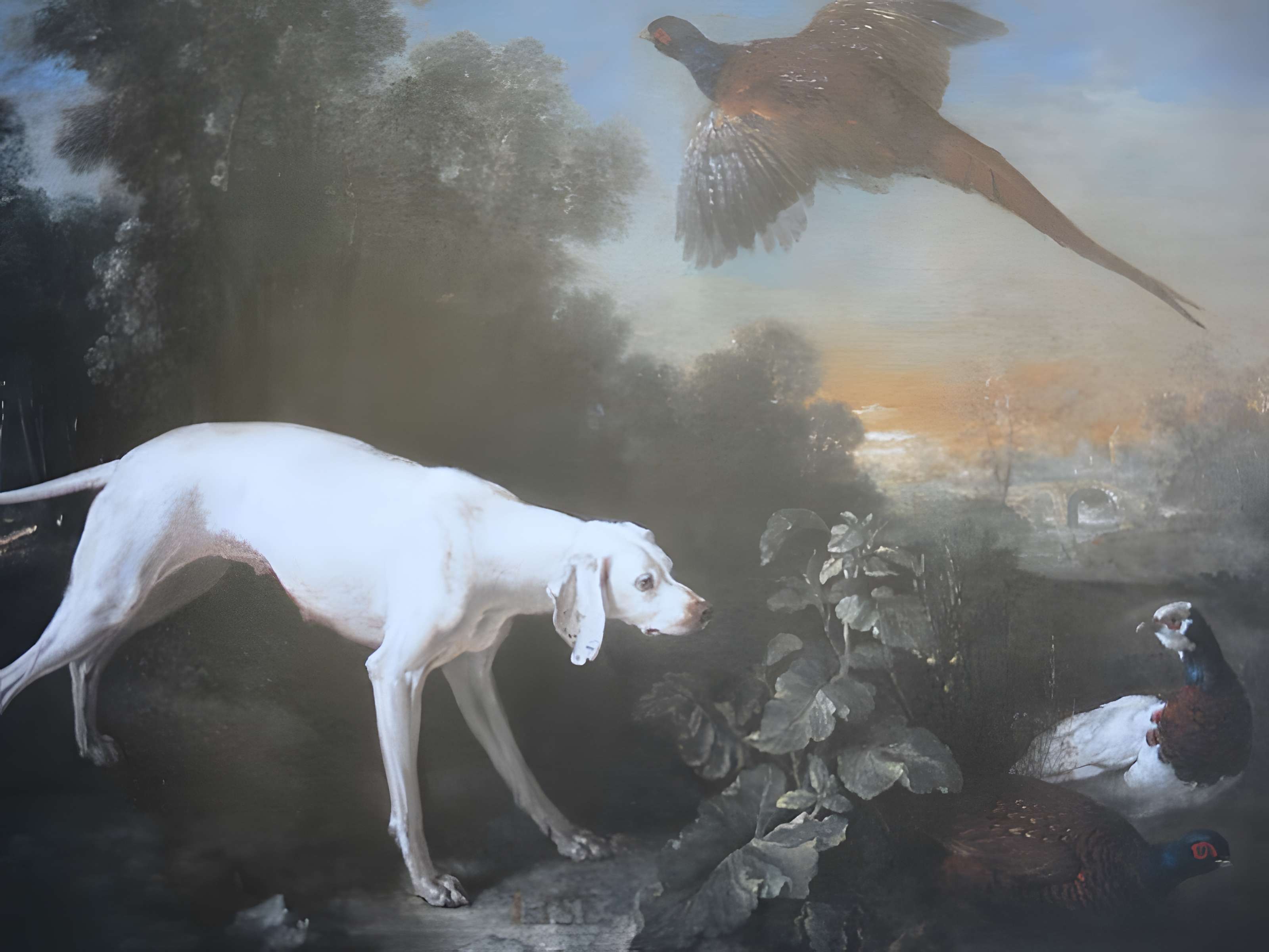 Musées du Château de Fontainebleau