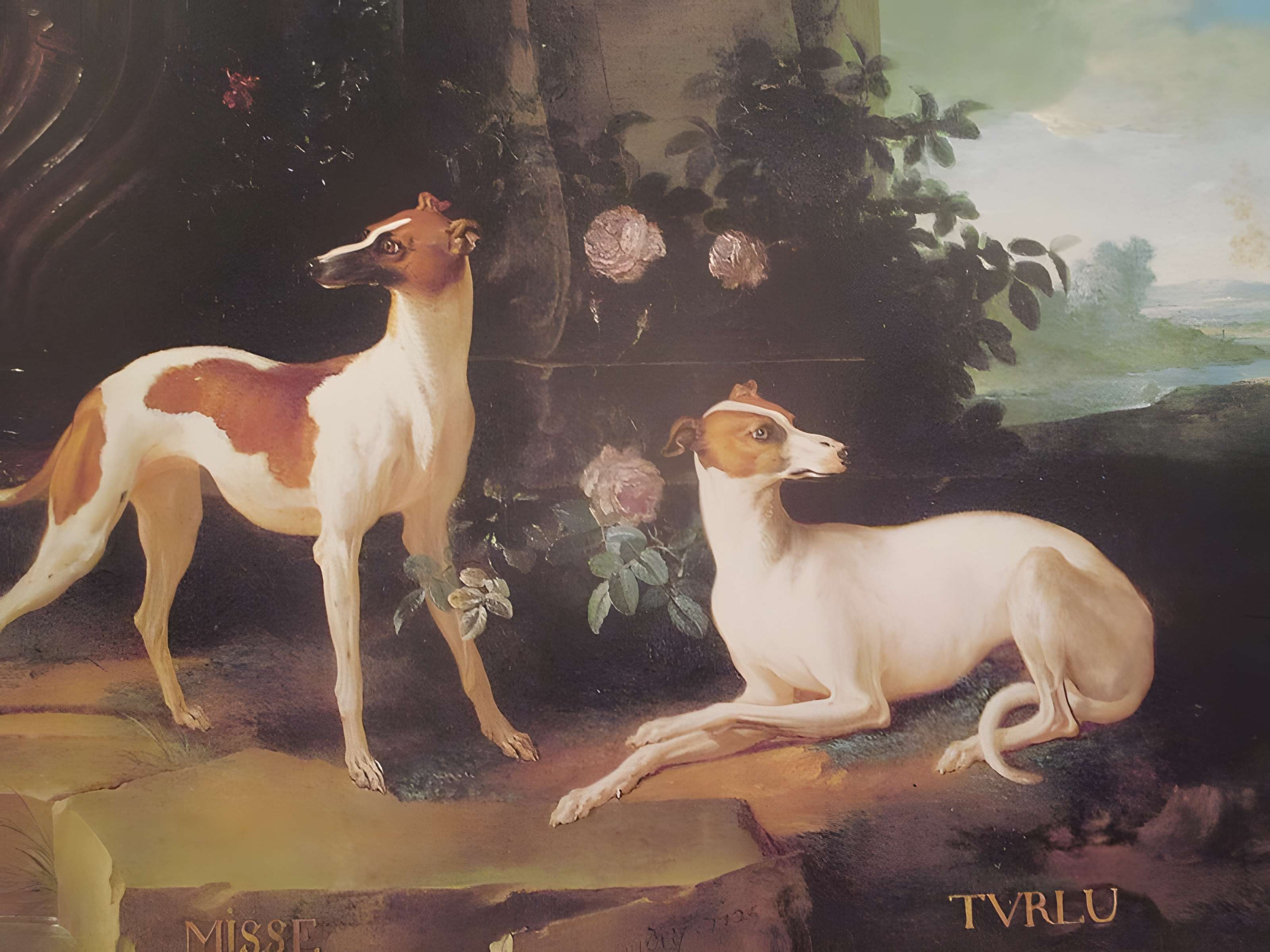 Musées du Château de Fontainebleau