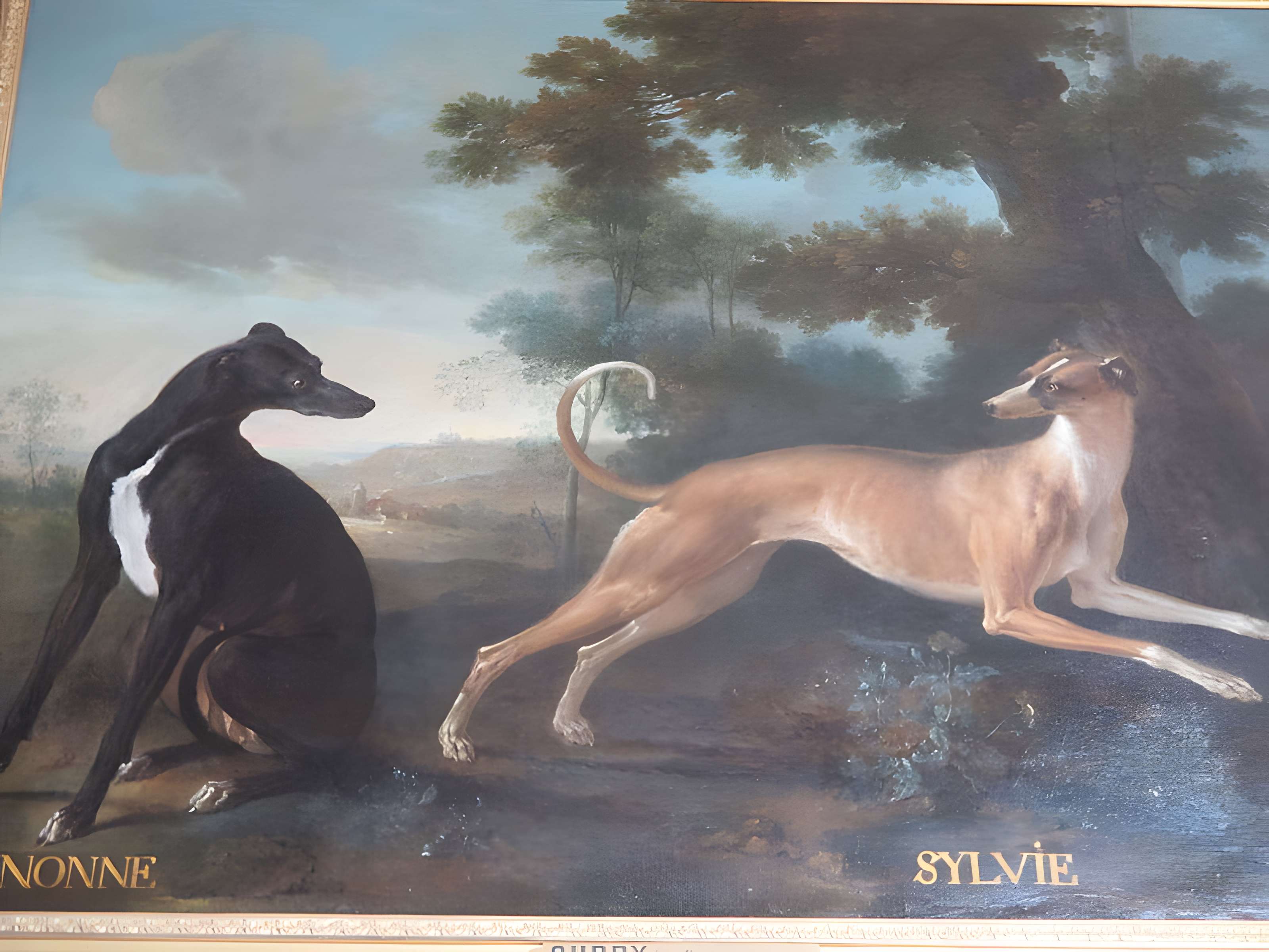 Musées du Château de Fontainebleau