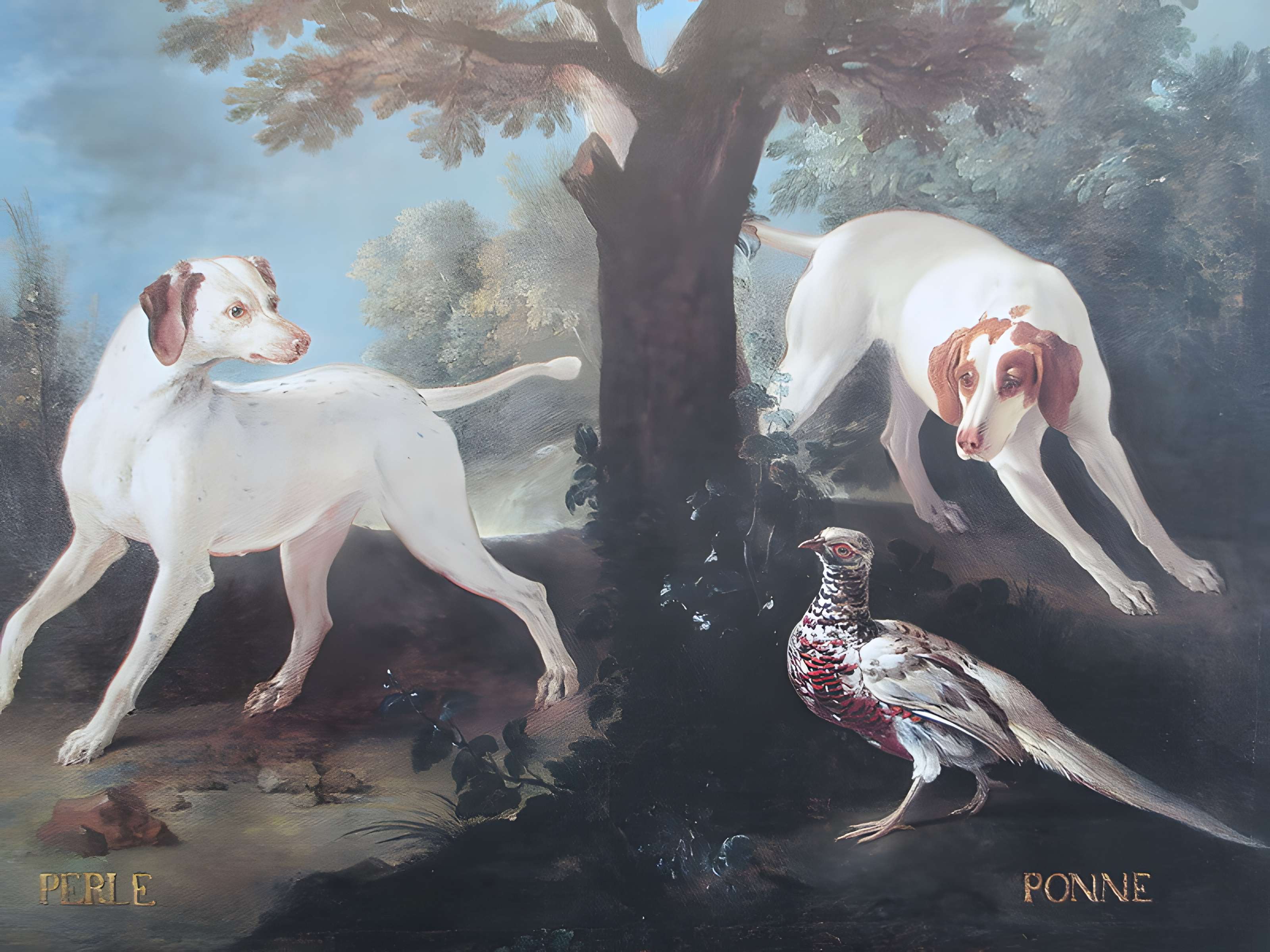 Musées du Château de Fontainebleau