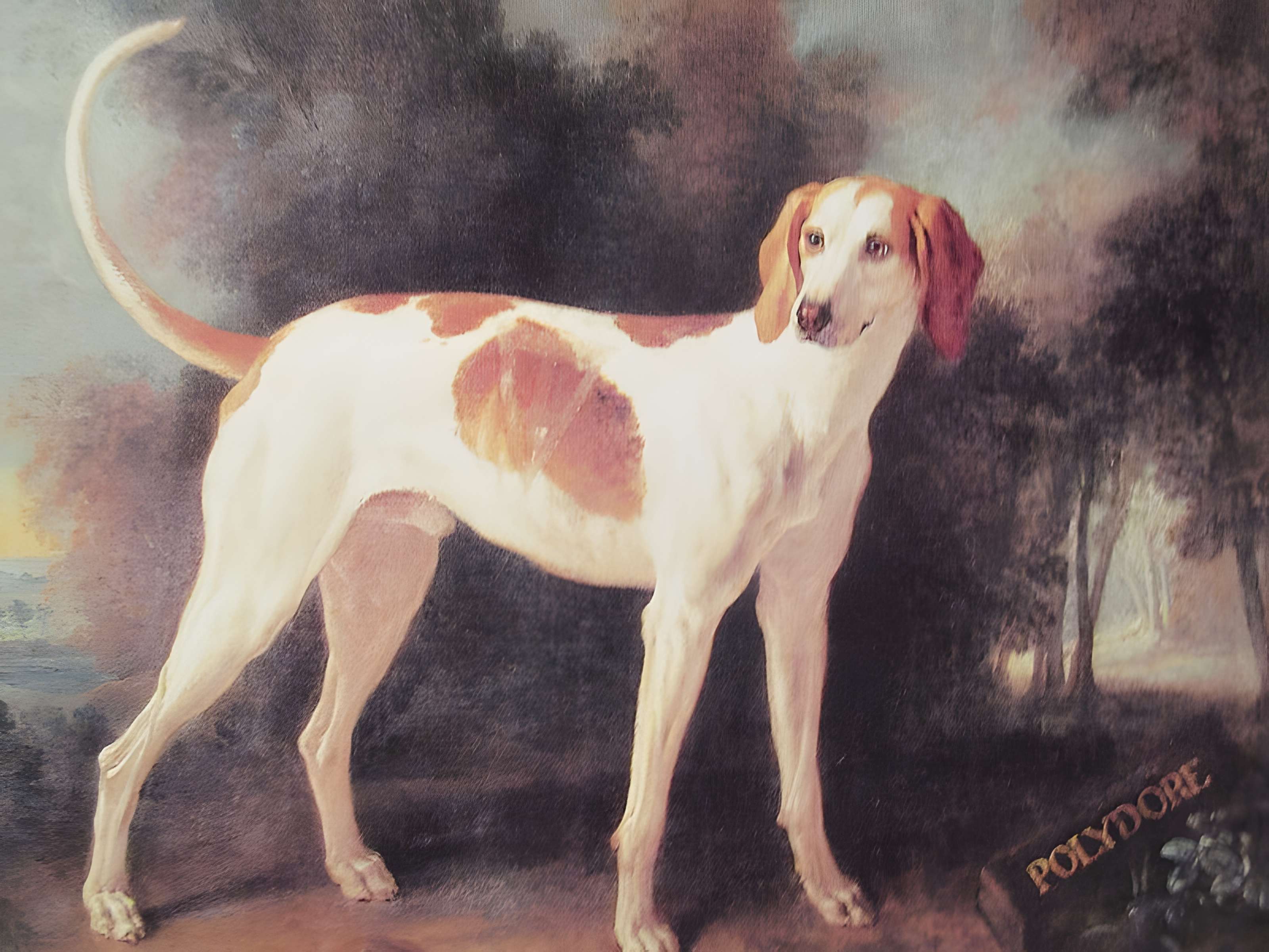 Musées du Château de Fontainebleau