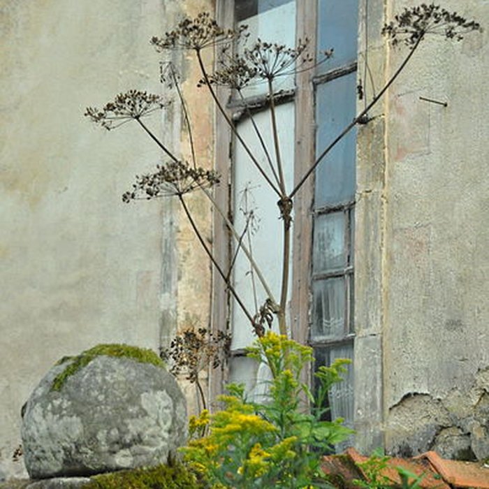 Photo de Abbaye de Cherlieu