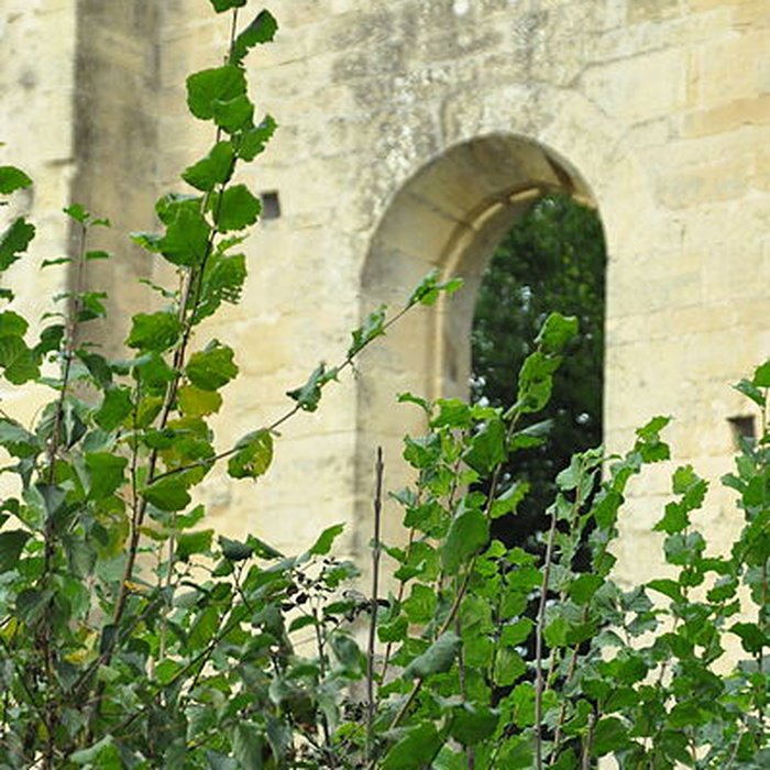 Photo de Abbaye de Cherlieu
