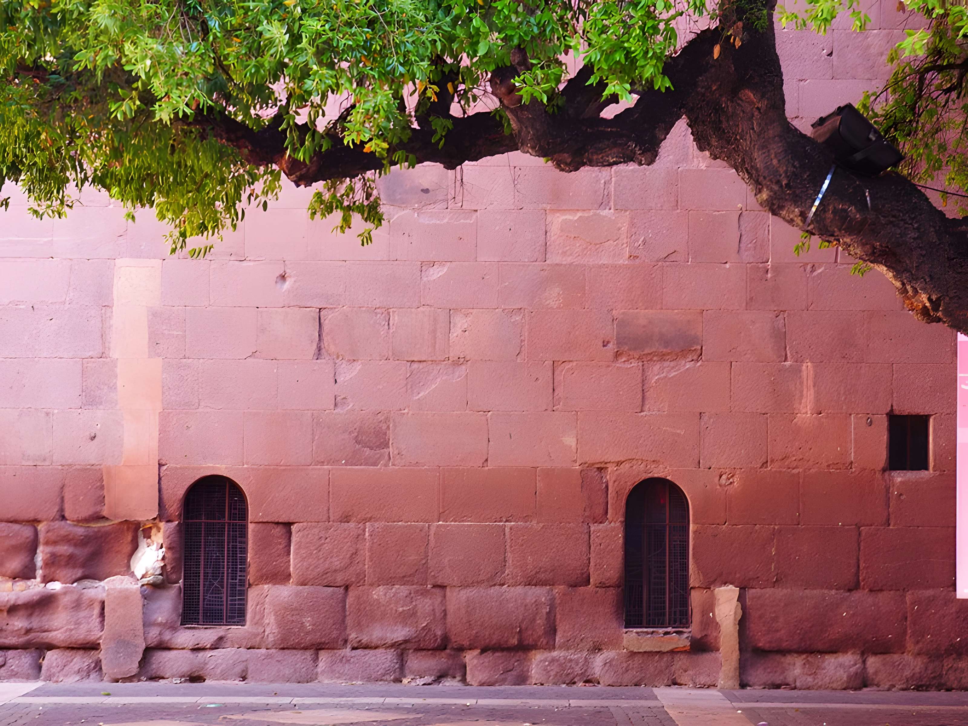 Cathédrale Saint Léonce de Fréjus
