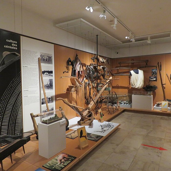 Photo de Musée départemental de la Seine-et-Marne à Saint-Cyr-sur-Morin