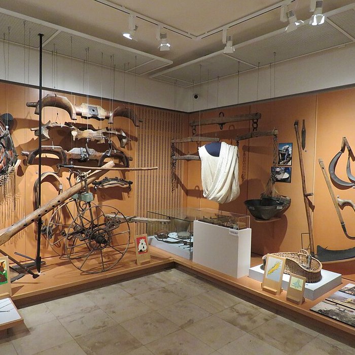 Photo de Musée départemental de la Seine-et-Marne à Saint-Cyr-sur-Morin