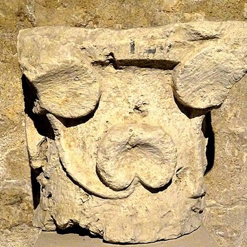 Musée de Provins et du Provinois