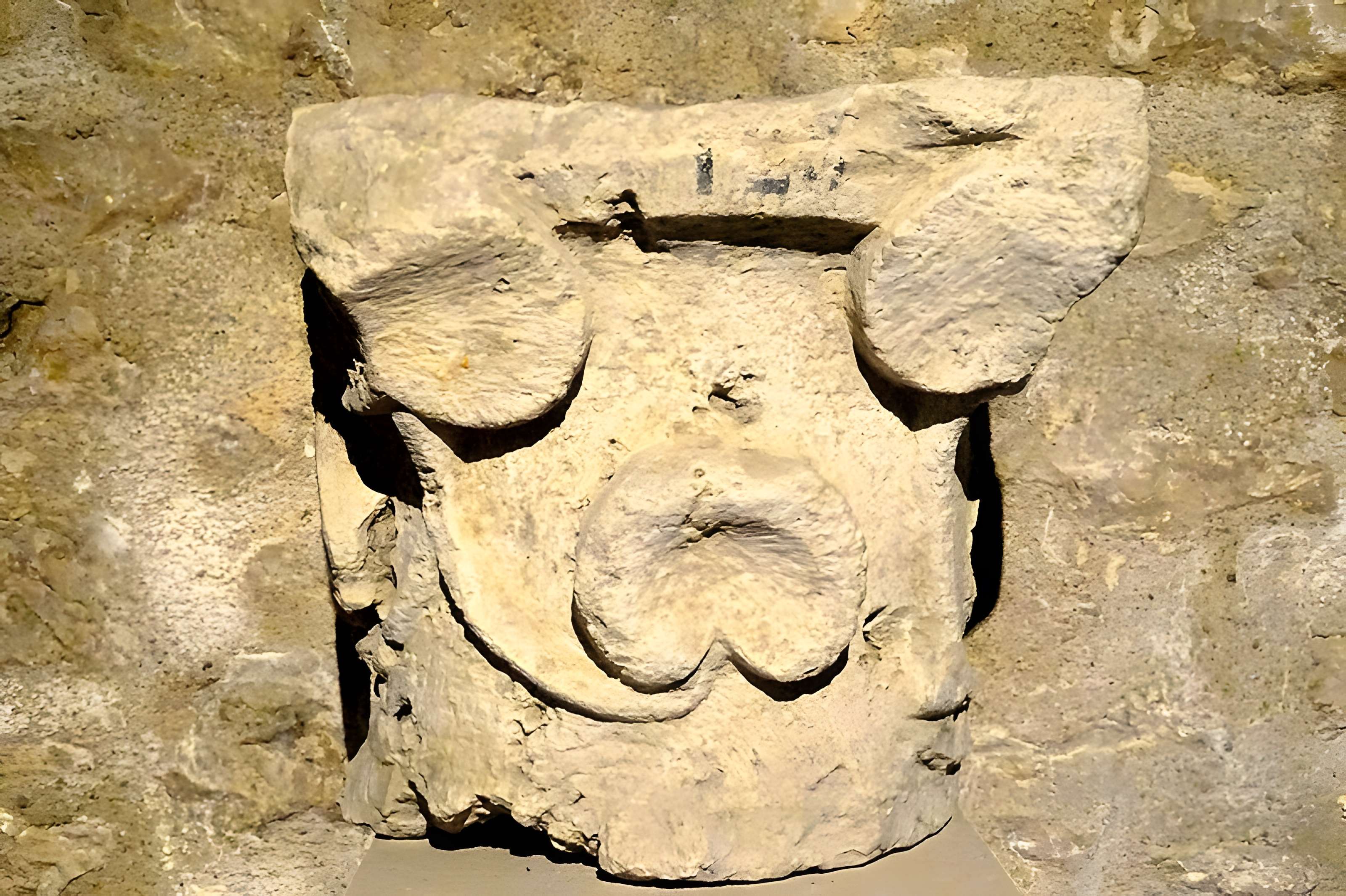 Musée de Provins et du Provinois