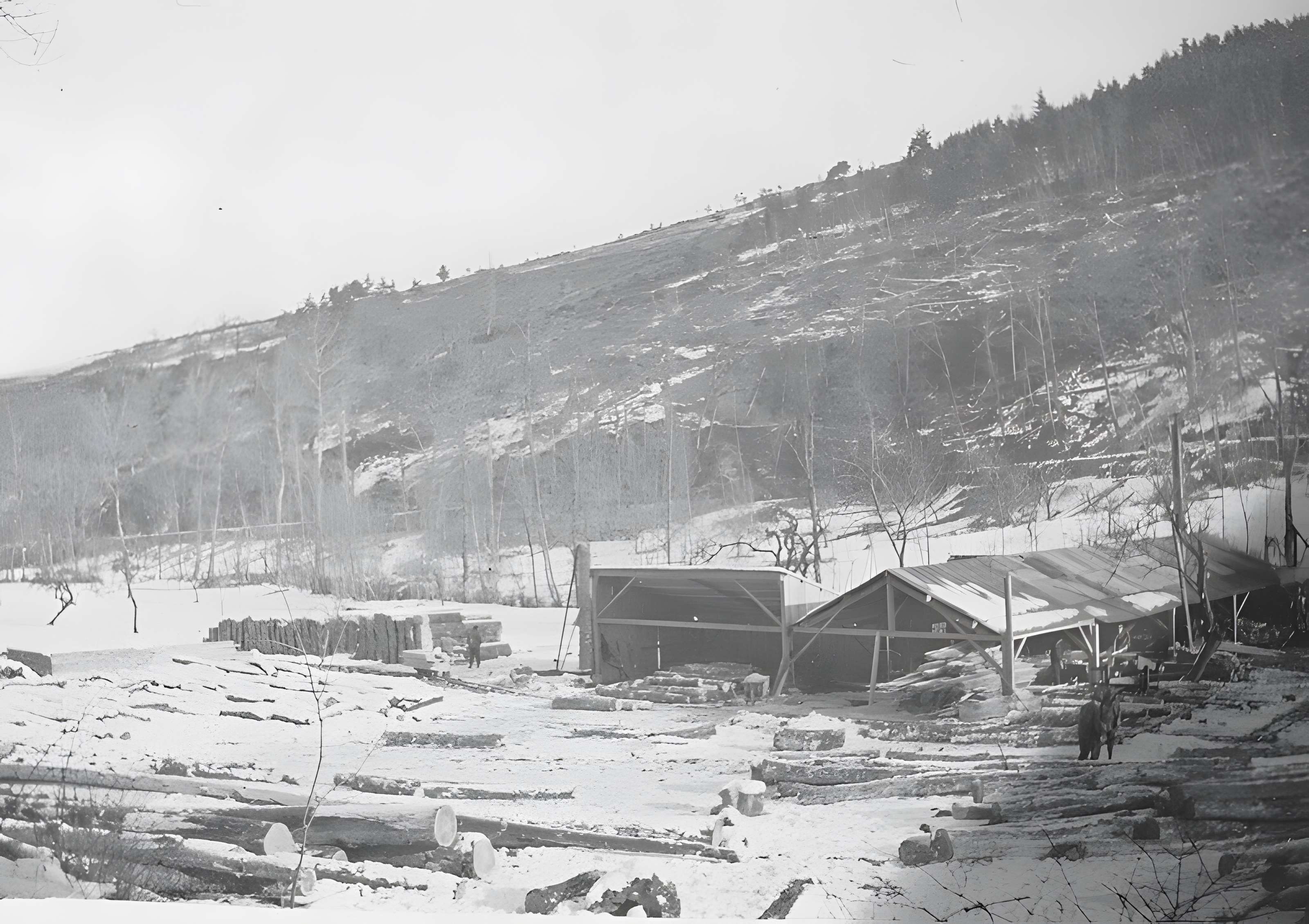 Château de Roquedols