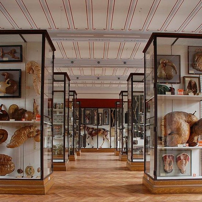Photo de Musée Fragonard de lÉcole vétérinaire de Maisons-Alfort