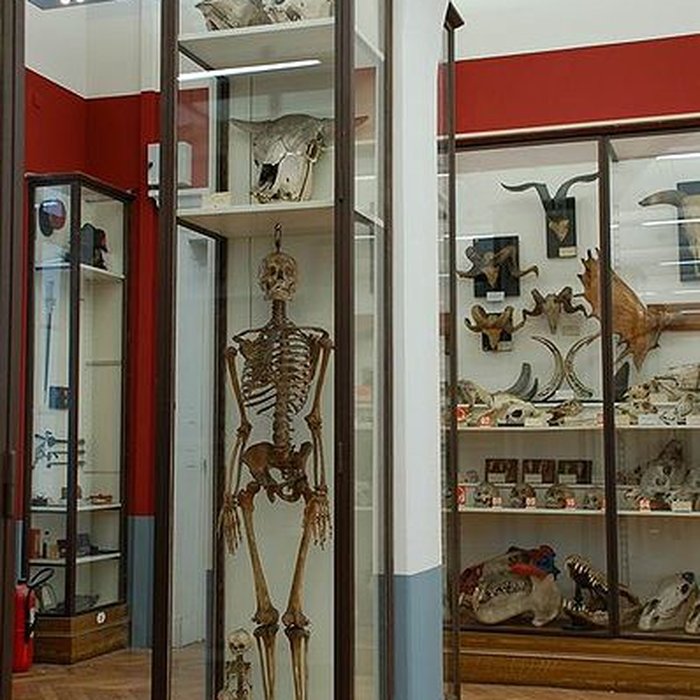 Photo de Musée Fragonard de lÉcole vétérinaire de Maisons-Alfort