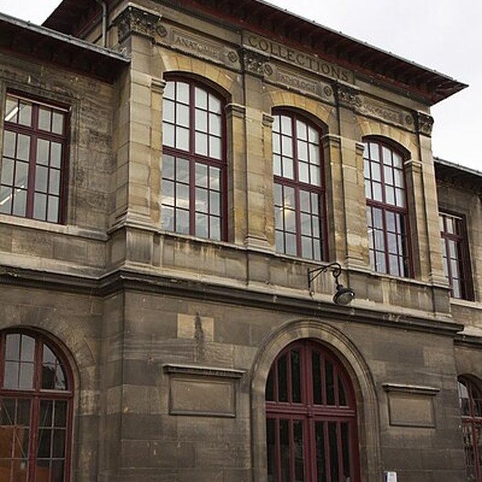 Photo de Musée Fragonard de lÉcole vétérinaire de Maisons-Alfort